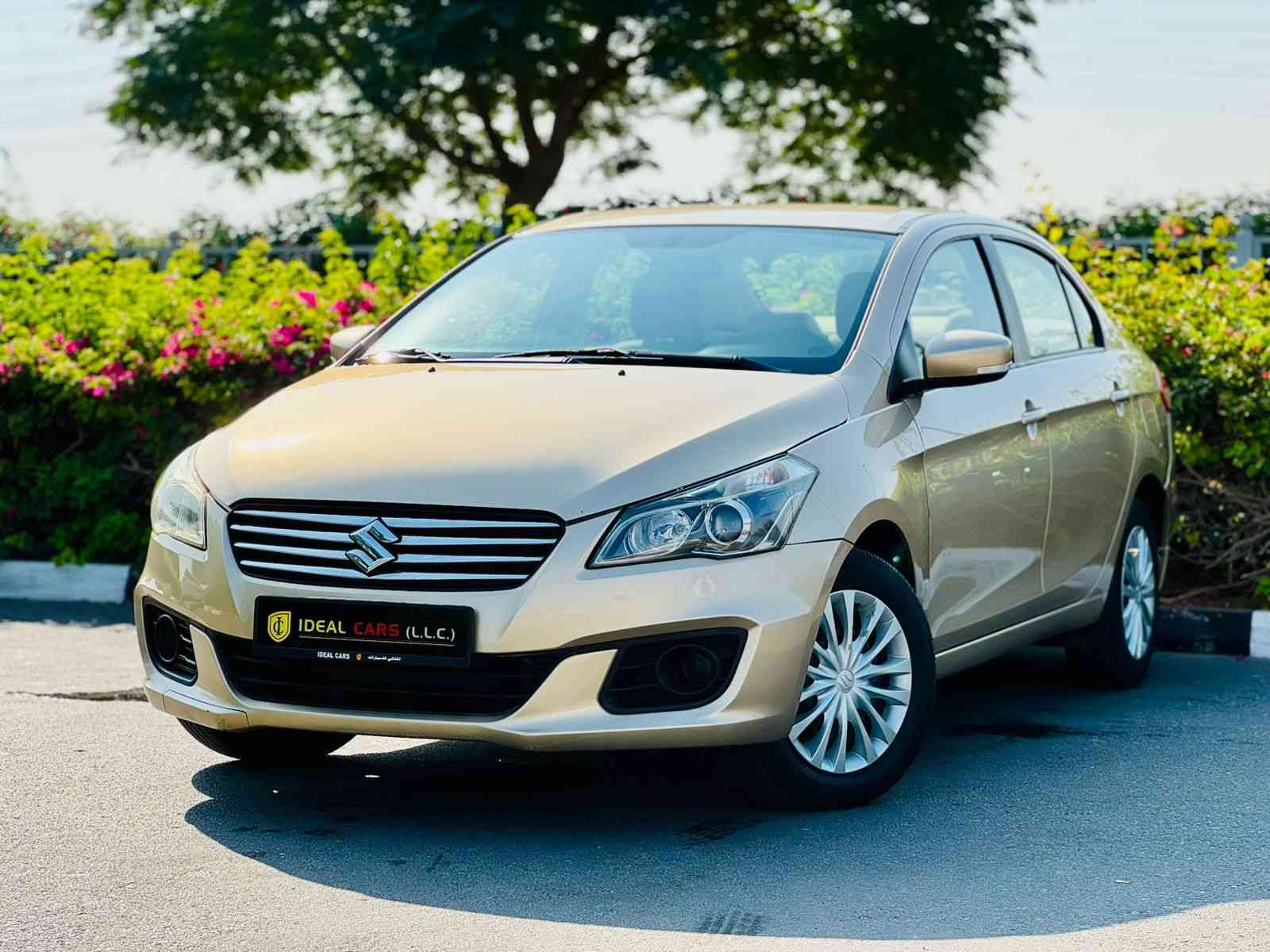 Gallery image of  {"id":2136,"name":"Ciaz","company_id":62,"type_id":8,"created_at":"2025-02-08T20:36:03.000000Z","updated_at":"2025-02-08T20:36:03.000000Z"}